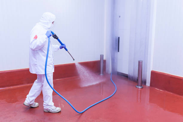 Best Graffiti Removal  in Herricks, NY